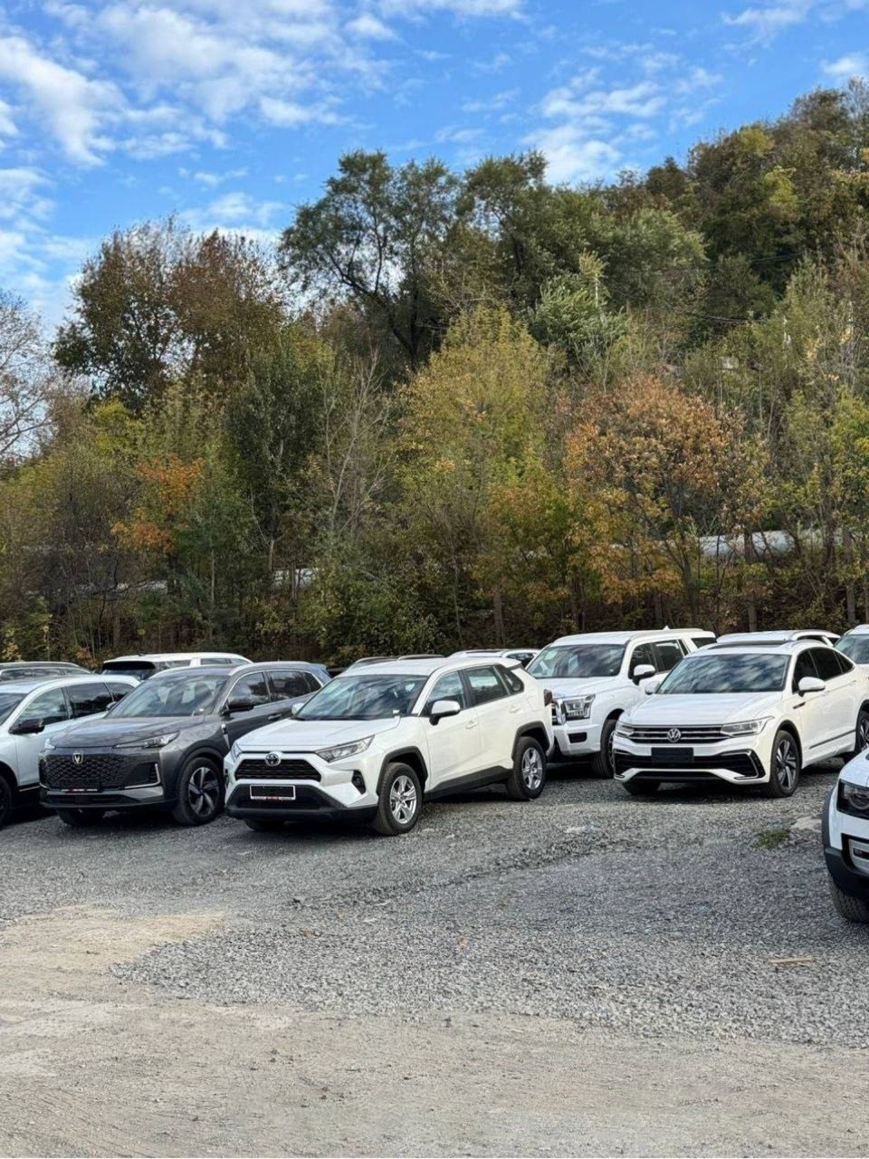 Логистические услуги - IMG_2512